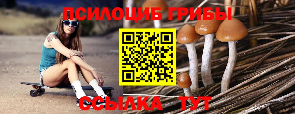 Псилоцибиновые грибы мицелий  Вход с VPN  закладки  Чита  Галлюциногенные грибы GOLDEN TEACHER 