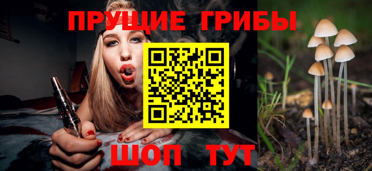 Псилоцибиновые грибы Psilocybine cubensis Чита